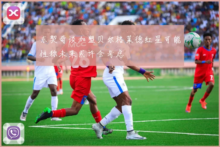东契奇谈加盟贝尔格莱德红星可能性称未来或许会考虑
