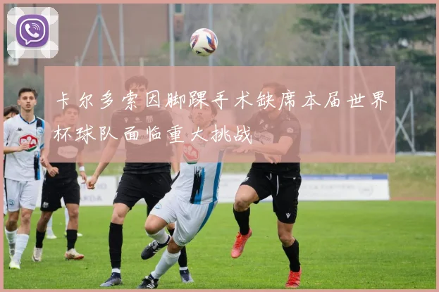 卡尔多索因脚踝手术缺席本届世界杯球队面临重大挑战